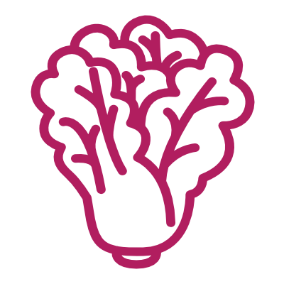 Lettuce icon